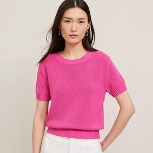 ANN TAYLOR Modern Sweater Tee Pink NEW Coastal Classic Layering Size Medium